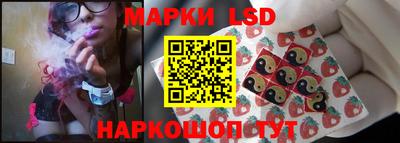гидра Славгород