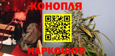 гидра Славгород