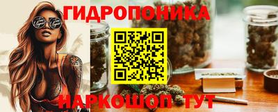 хмурый Сланцы