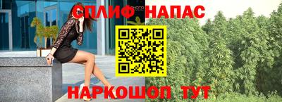 гидра Славгород